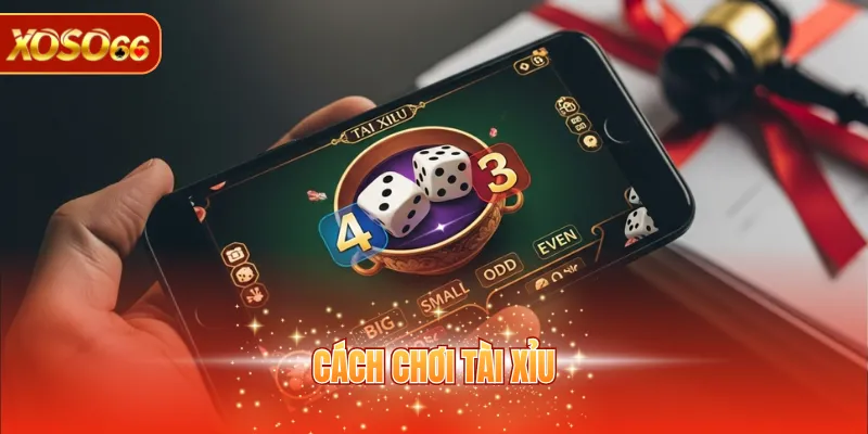 Cách Chơi Tài Xỉu - Hướng Dẫn Chuẩn Xác Cho Người Mới 1 cách chơi Tài Xỉu