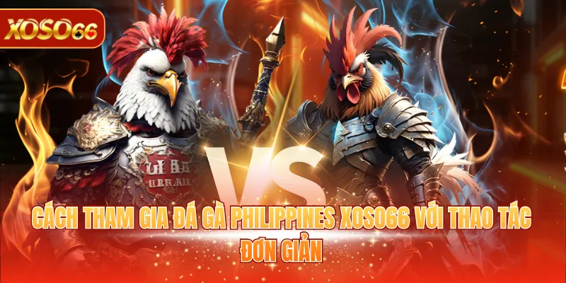 Đá Gà Philippines - Giải Trí Trực Tuyến Vô Cùng Hấp Dẫn 4 Cách tham gia đá gà Philippines với thao tác đơn giản