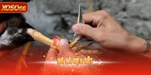Đá gà cựa sắt