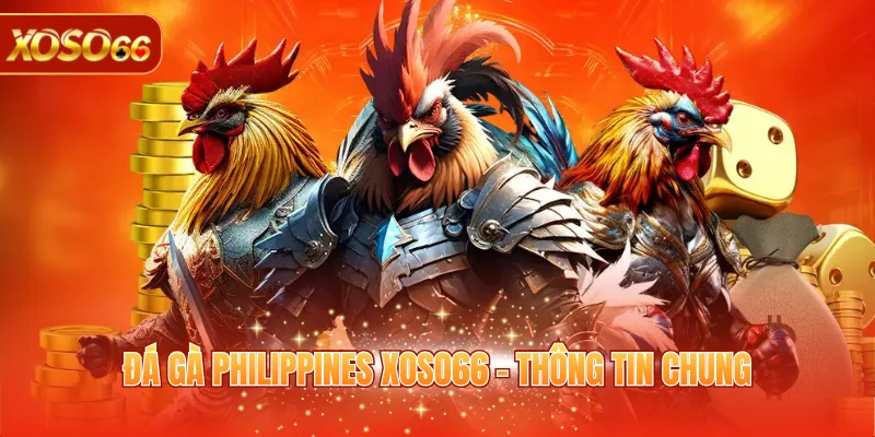 Đá Gà Philippines - Giải Trí Trực Tuyến Vô Cùng Hấp Dẫn 2 Đá gà Philippines - Thông tin chung