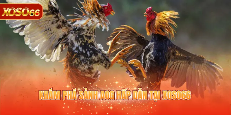 Sảnh AOG - Sảnh Cược Trực Tuyến Đa Dạng Tại XOSO66 2 Khám phá sảnh AOG hấp dẫn tại XOSO66